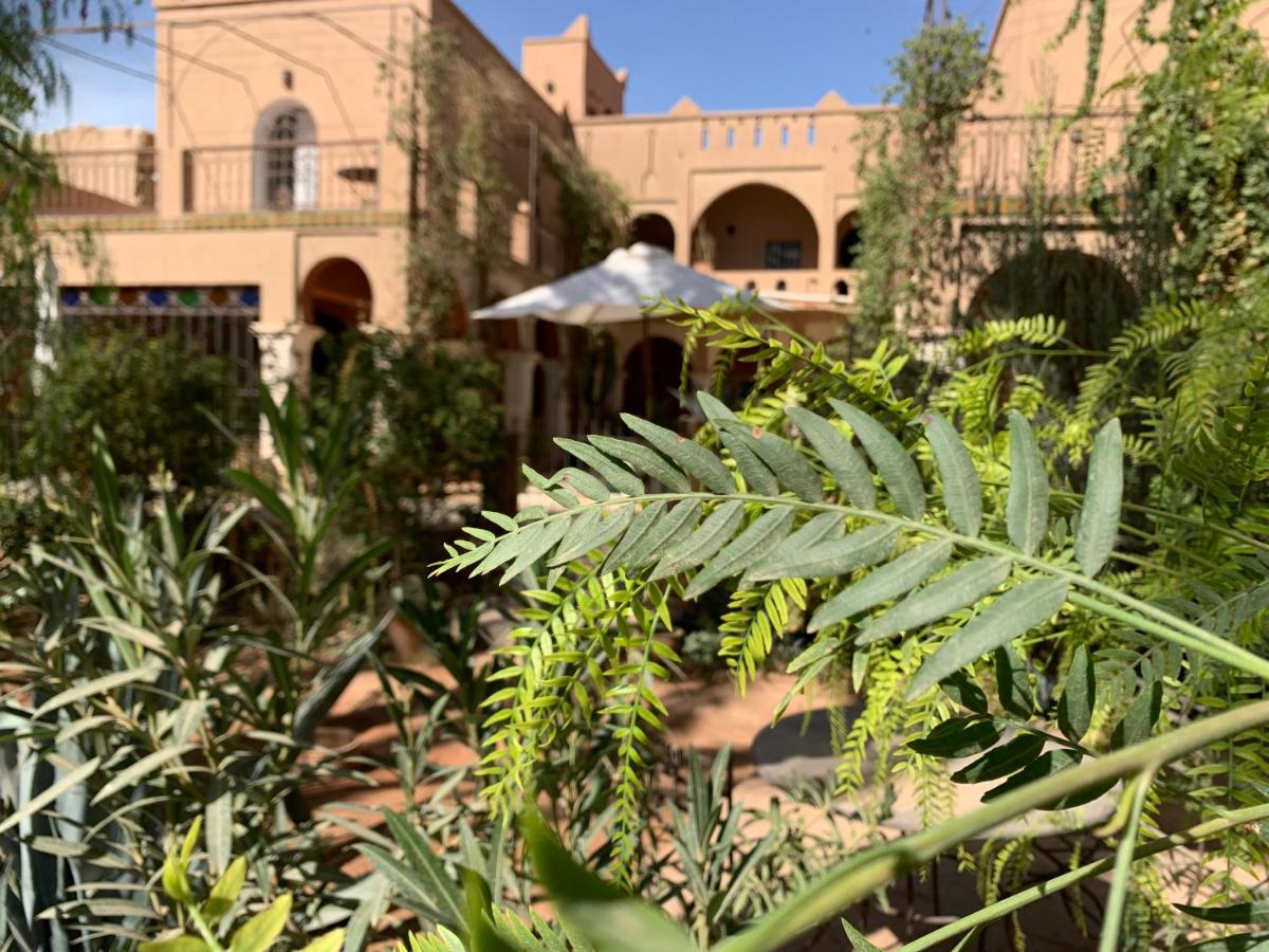 Riad Chant D'Etoiles Tadighoust El Hara Eksteriør bilde