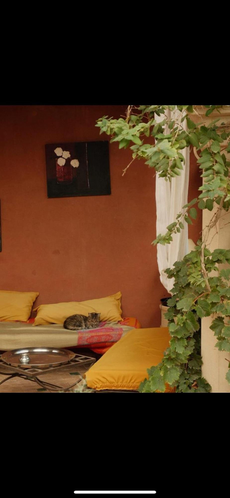 Riad Chant D'Etoiles Tadighoust El Hara Eksteriør bilde